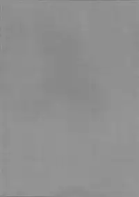 (C80) [Kaibidou (Hyakkei)] Pachunii no Himitsu (Touhou Project)