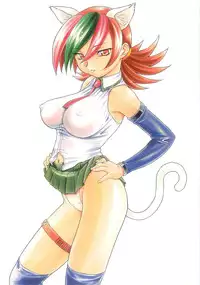 (C62) [Studio Wallaby (Nishitsuki Tsutomu)] Nishitsuki Recycle (Various) [English] [c7n88]