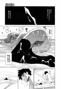 COMIC MEGAPLUS Vol. 46 2007-08