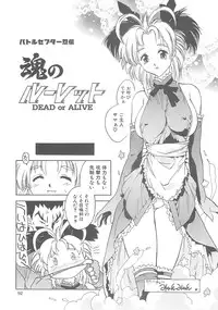 [Hellabunna (Iruma Kamiri)] Iruma Kamiri Tankou bon Misyuuroku Sakuhin syuu 「C.」