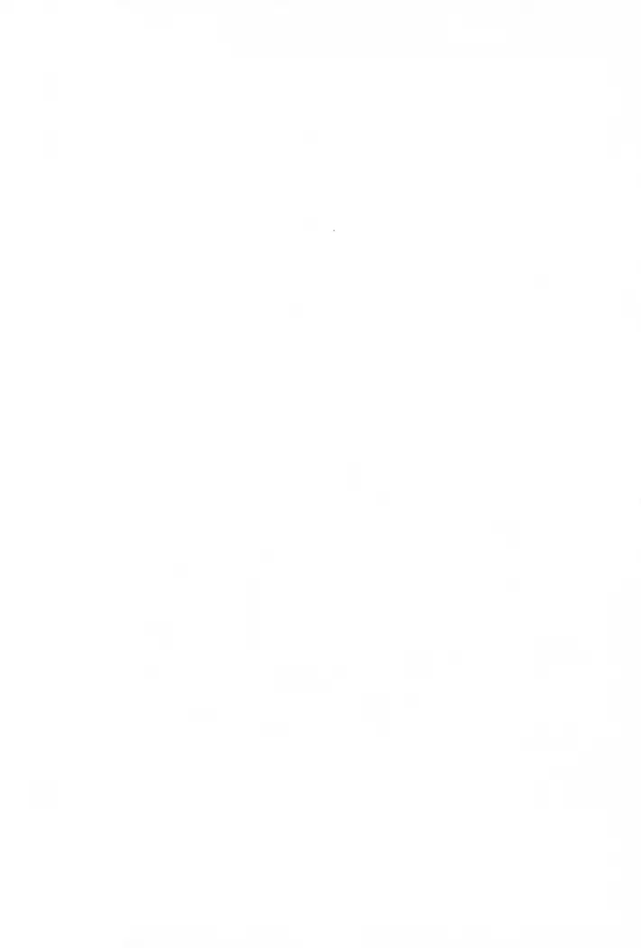 Ero Manga Hyogen Shi | 成人漫畫表現史