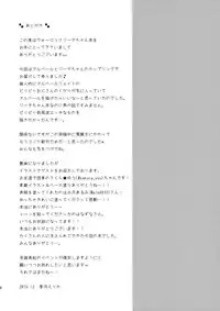 (C91) [Ryuknigthia (Kiduki Erika)] Kimi ni Kanden Chuuihou (Granblue Fantasy)