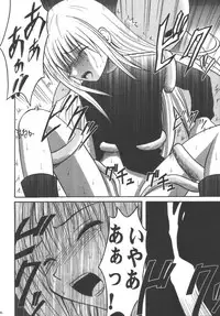 [Crimson (Carmine)] Kyouiku Soushuuhen (Black Cat)