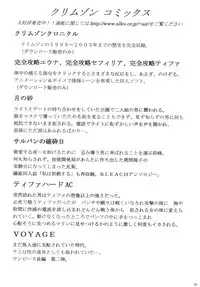 (C70) [Crimson Comics (Crimson)] Midasareshi Onna Madoushi Soushuuhen | Distressed Female Wizard Collection (Dragon Quest VIII) [English] [Kizlan]