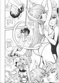 (C71) [Nippon Fair] Mote Asobi ni Ikuyo! 2 -H na Neko no Shitsuke kata- (Asobi ni Ikuyo!)