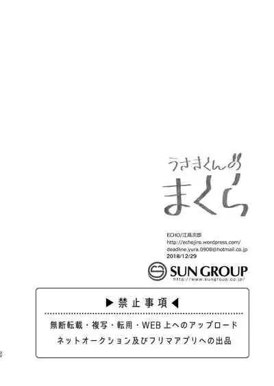 [ECHO (Echo Jiro)] Usaki-kun no Makura [Eng]