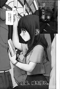 [Rustle] Stripe cats