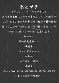 [Kitsune no Shippo Momitai (Wildcat)] Keikoku no Dosukebe Fox (Shokushu Hen) (Touhou Project) [Digital]