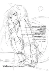 (COMIC1☆2) [Digital Lover (Nakajima Yuka)] D.L. action 43 (Spice and Wolf) [English] [Reromanga]