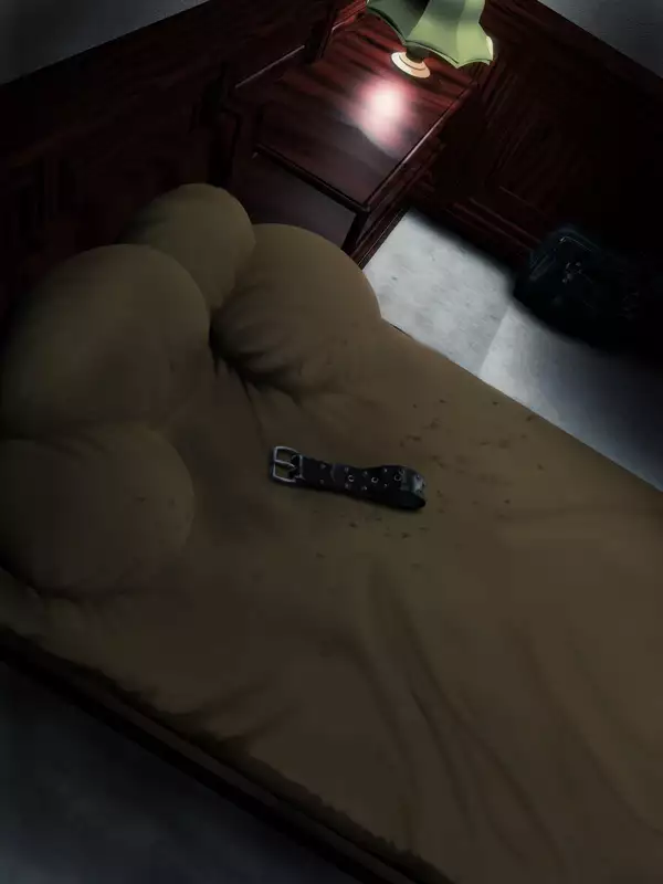 H.S.C. Illustration Collection Ex.4