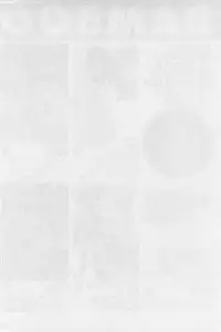 [Yamamoto Johanne] Yin & Yang Dolls