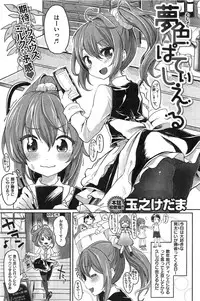 COMIC Shitsurakuten 2015-01
