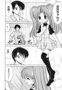 [Anthology] Pure Petit Vol. 20