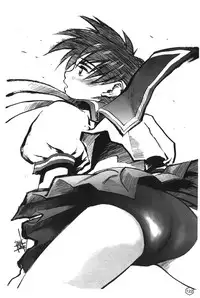 [Trochilidae] fighting queen 2 [Chiense]