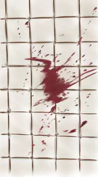 The Tragedy of the Crossdressing Teacher