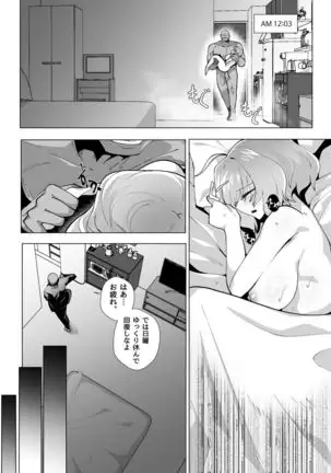 Riamu Shuumatsu Rental Service