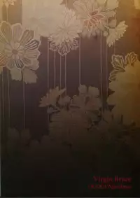 (C82) [OOOOOM (Ekimae)] Virgin Blues