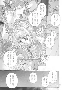 (C67) [Molotov Cocktail (Oowada Tomari)] Kagami no Naka no CHERRIES 2nd (Card Captor Sakura)