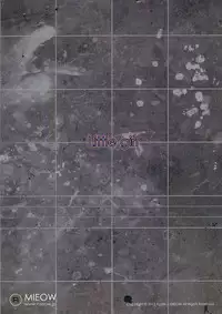 (C84) [Mieow (Rustle)] Little Girl 7