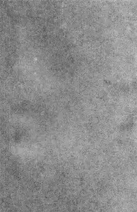 (FF30) [Bear Hand (Fishine, Ireading)] OVERTIME!! OVERWATCH FANBOOK VOL. 2 (Overwatch) [English] [atomicpuppy]