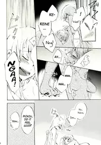 (Reitaisai 8) [Vivit Gray (Shinoasa)] Yawarakana Pulse | Gentle Pulse (Touhou Project) [English]