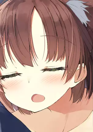 Ore no Kanojo ni wa Nekomimi ga Haeteiru