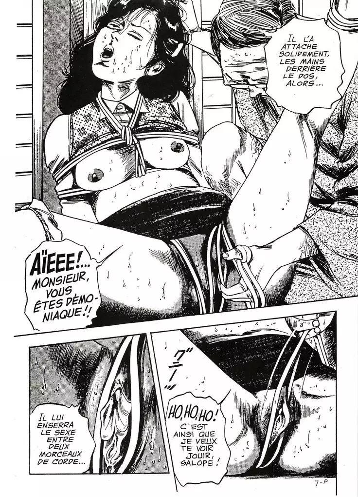 La nouvelle petite bonne