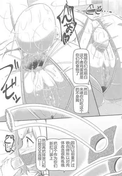 Daruma Hime Isshin Doutai