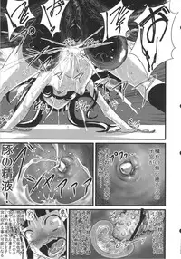 (C83) [774 House (774)] Hadakahime Honoka Zecchou Kakusei Buta Koubi