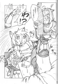 (C74) [Bookshelf (Suzuno)] Wagaya no Neko ha LL size ♪ (Final Fantasy XI)