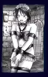 [Nyoninka Kenkyuujo] Onna Ni Sareta Yuusha Rya [Re-Ordered]