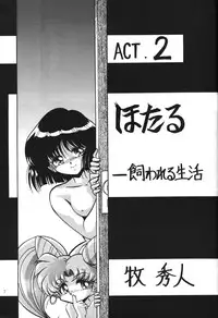 (C51) [Thirty Saver Street 2D Shooting (Maki Hideto, Sawara Kazumitsu)] Silent Saturn 2 (Bishoujo Senshi Sailor Moon)