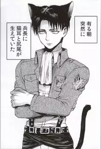 (C86) [Onjire (Tamy)] ONGRE2013 (Shingeki no Kyojin)