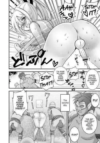 Itsuwari no Himekishi - False princess knight