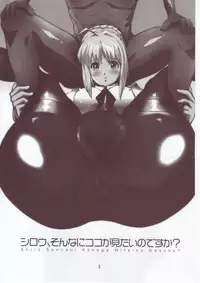 (C73) [Yami ni Ugomeku (Dokurosan)] Shiro, Sonnani Koko ga Mitai no Desu ka? (Fate/stay night)