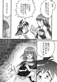 [Ginmomodou (Mita Satomi)] SLAYERS ADULT 10 (Slayers) [Digital]