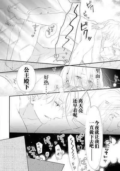 Tsukai ma wa hime dake o nemurasenai | 使魔不让公主入睡