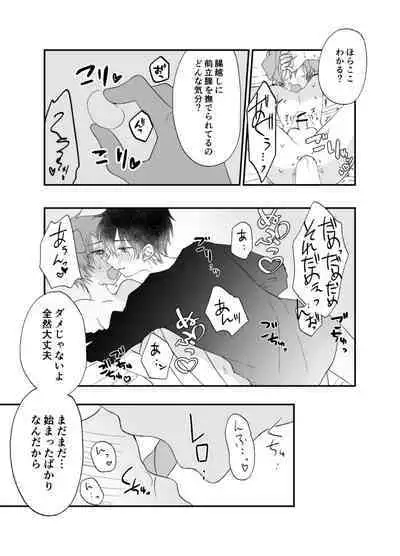 Suterareta Kemonohito ga Hirowarete mesuka Choukyou de Pet ni naru hanashi