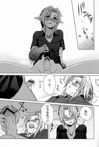 (C83) [Tricot (Stella.Ing)] From the Underground (The Legend Of Zelda)