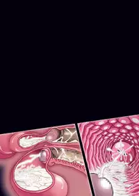 [Studio Mizuyokan (Higashitotsuka Rai Suta)] SMILE PARTY DL (Smile Precure!) [Digital]