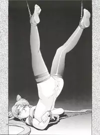 (C55) [Studio Anteros (Katsuragi Maya)] Jubakurei Joou 4 (Bishoujo Senshi Sailor Moon)