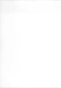 no_text To translator (C86) [Yokohama Junky (Makari Tohru)] Solo Hunter no Seitai 4 The third part (Monster Hunter)