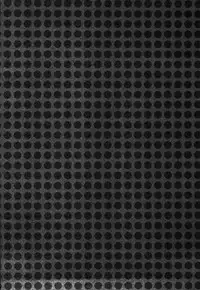 (SPARK8) [PureSlider., COLOR PALETTE (Matsuo, Shiho)] Ore x Mako (Free!) [English] [Togawa]