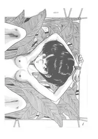 パパマンゴー- Papa Mango (Various)