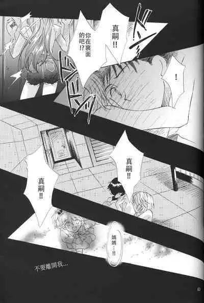 PEPPY ANGEL·淘气の天使第6·7·8卷（EVA·剧情漫画合集）