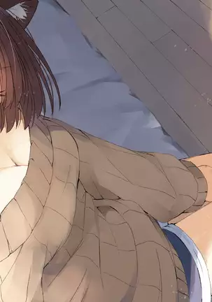 Ore no Kanojo ni wa Nekomimi ga Haeteiru