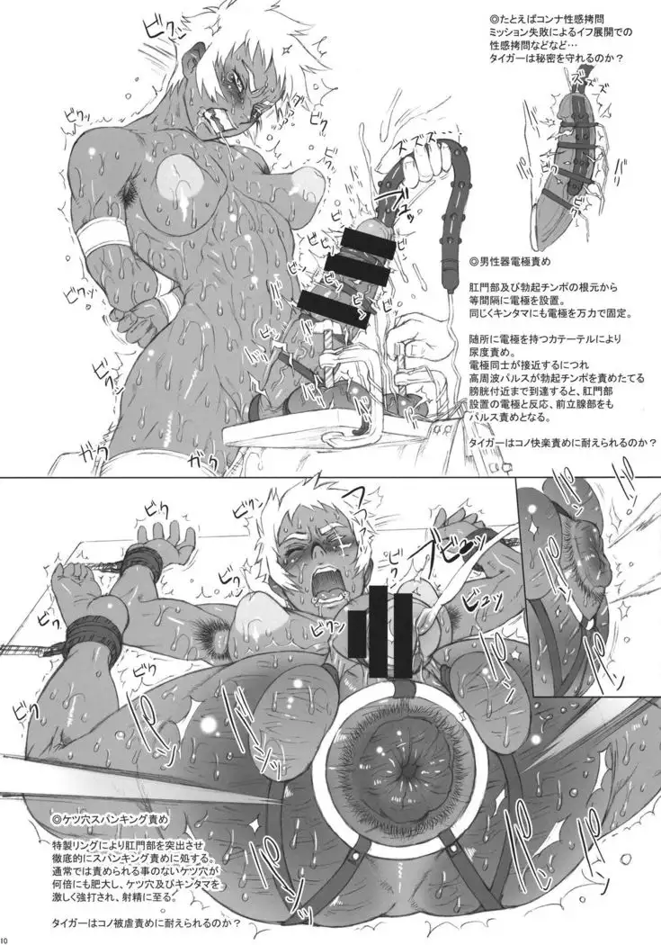 NIPPON TIGER & RABBIT