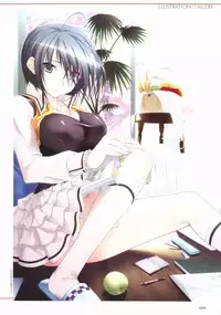 Sakura Sakura Visual Fan Book