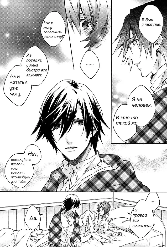 prism night jelly kiss