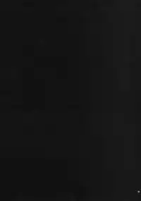 [Noraneko-no-Tama (Yukino Minato)] Kirigami Shima Dai San Hen | Island of the Mist God -Third volume- [English] [Mant] [Digital]